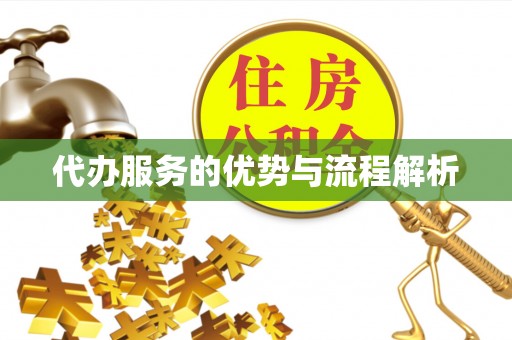 乌丘代办服务的优势与流程解析
