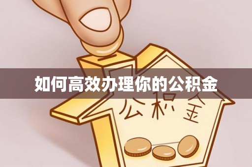 乌丘如何高效办理你的公积金