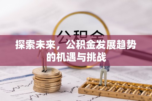 乌丘探索未来，公积金发展趋势的机遇与挑战