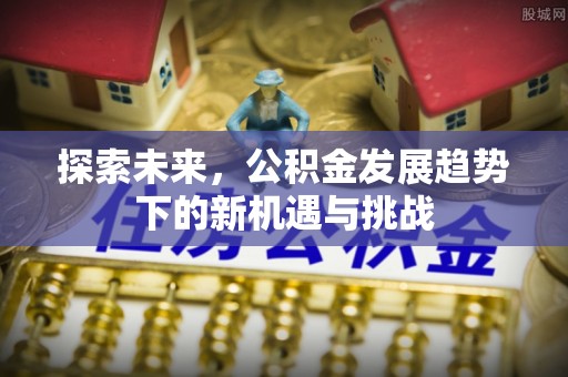 乌丘探索未来，公积金发展趋势下的新机遇与挑战