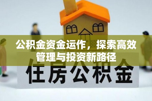 乌丘公积金资金运作，探索高效管理与投资新路径