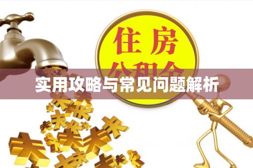 乌丘实用攻略与常见问题解析