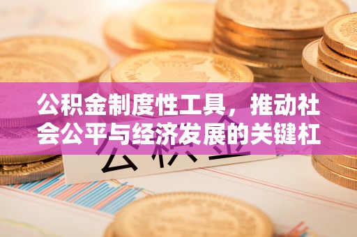 乌丘公积金制度性工具，推动社会公平与经济发展的关键杠杆