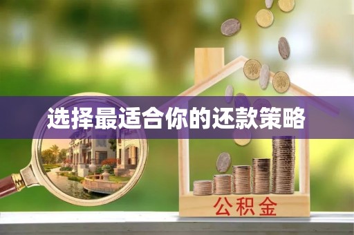 乌丘选择最适合你的还款策略
